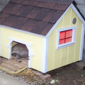 Custom Tortoise / Reptile house Built to orders 48 x 48 image 3