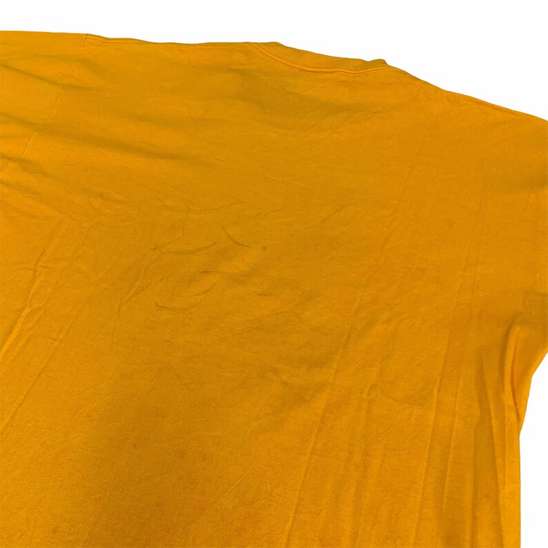 Vintage Liberate Japan Band Tshirt