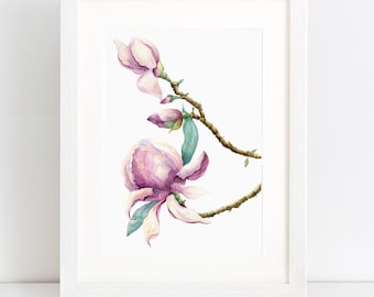 Magnolia blossoms - print of original watercolour art - Artist - Sarah Lawrence