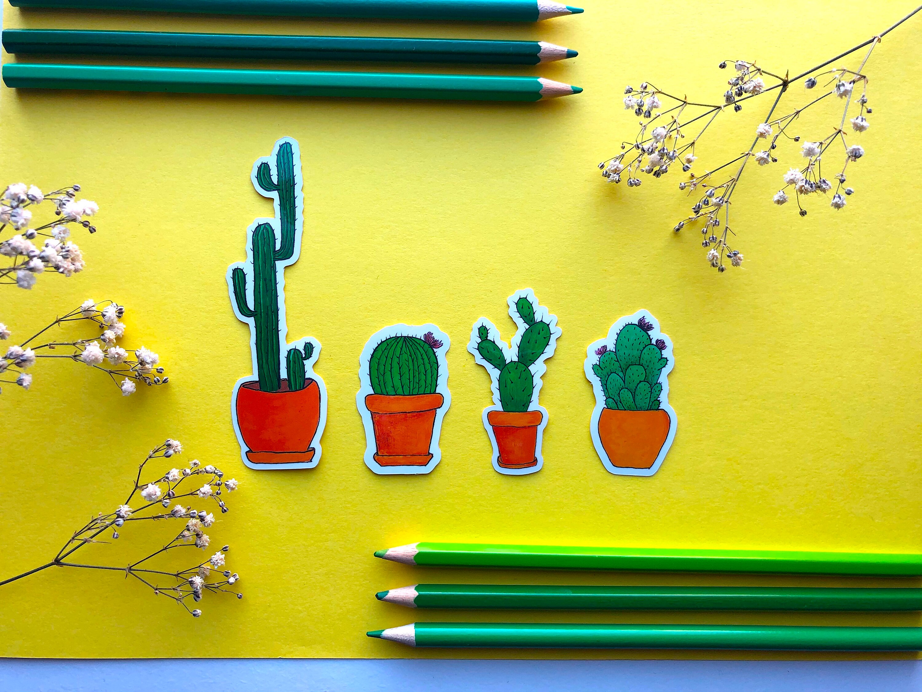 Cactus Vinyl Stickers Set of 4 Colourful Stickers Vinyl Etsy