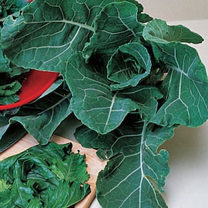May include: Fresh, vibrant green collard greens with prominent veining. Some leaves are whole, while others are cut and arranged on a wooden cutting board and in a red bowl. The image showcases the texture and color of the leafy greens.