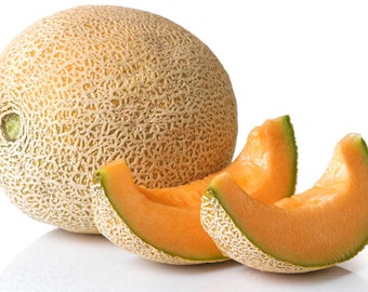 Athena Cantaloupe Seed, Athena Hybrid, Top Seller, NON-GMO, 25 Athena Seeds
