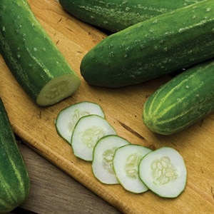 Cucumber Straight Eight, Heirloom Open Pollinated Seed, NON-GMO, 25 Seed Packet