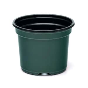 8 Inch Azalea Pot, (Qty.10), 8&quot; Plastic, Green Co-ex Greenhouse Container, sp800