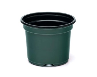 8 Inch Azalea Pot, (Qty.10), 8" Plastic, Green Co-ex Greenhouse Container, sp800