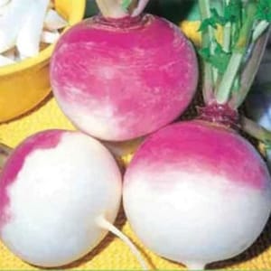 May include: Three turnips with a white and pink gradient. The turnips have green stems and are on a yellow surface. One turnip is partially cut, revealing the white interior. The turnips are a root vegetable.