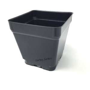 May include: A square black plastic plant pot with a tapered shape and a wide rim. The text Starting Gardens is printed in a black script font on the front side of the container. The pot features a hollow interior and a molded base structure.