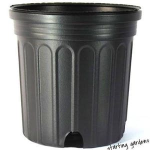 1 Gallon Nursery Pot (Qty.50), Black Trade Gallon, 6.5 Inch