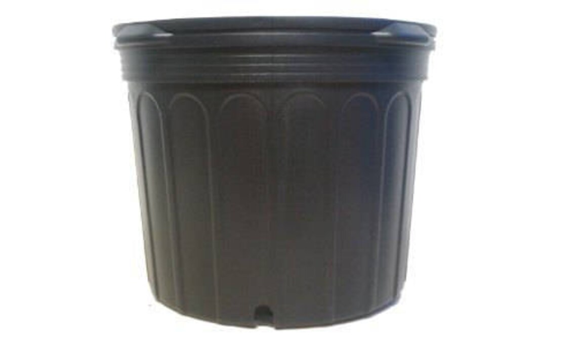 7 Gallon Black Nursery Pots qty. 6 Plastic Nursery Etsy