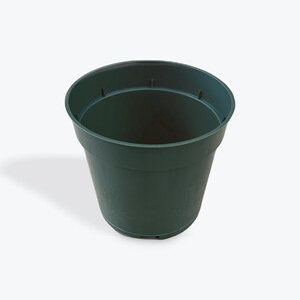May include: A dark green plastic plant pot with a slightly flared rim. The pot has a cylindrical shape and is empty. The pot is designed for planting flowers, herbs, or other plants. The pot is made of durable plastic.
