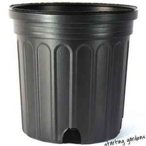 May include: A black plastic plant pot with a ridged design. The pot has a wide rim and a drainage hole at the bottom. The pot is designed for planting flowers, herbs, or other plants.