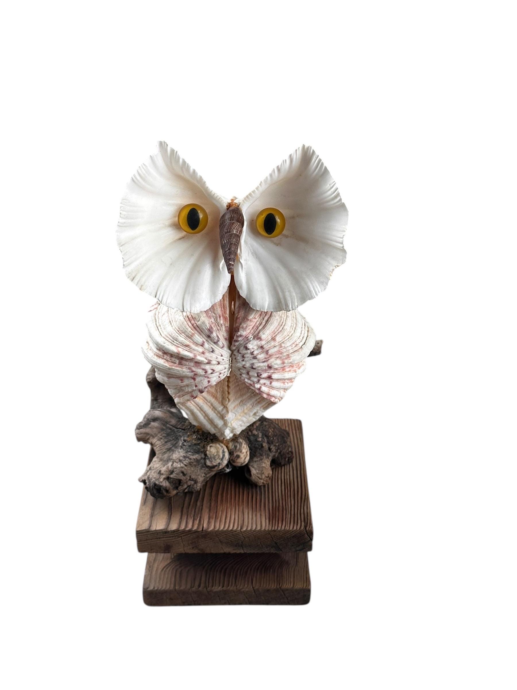 Vintage Large Sea Shell Owl Art Sculpture On Wood Base Beach House Decor
