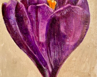 crocus