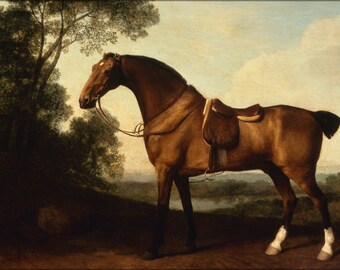 Canvas Paper A4 or A3 Matt HOUND COURSING A STAG by George Stubbs Glossy