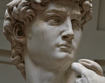 Poster, Many Sizes Available; Sculpture of David closup, by Michelangelo