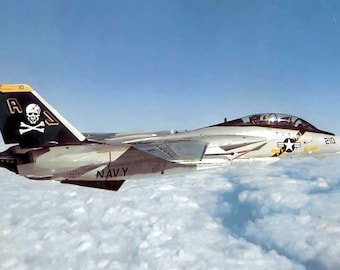 ポスター、さまざまなサイズあり。VF-84 ジョリー ロジャースの F-14