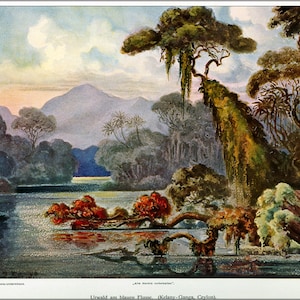 Pode incluir: Uma pintura de uma cena exuberante de selva com um lago em primeiro plano. O lago é cercado por árvores e montanhas ao fundo. O céu é de um azul suave com nuvens brancas. A pintura é feita em um estilo realista com cores vibrantes.