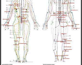 Póster, muchos tamaños disponibles; Meridianos chinos o del cuerpo humano para artes marciales y medicina