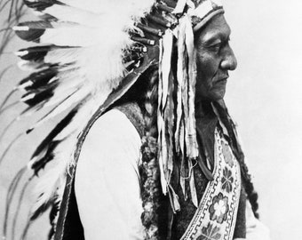 Poster, Many Sizes Available; Sitting Bull, 1885