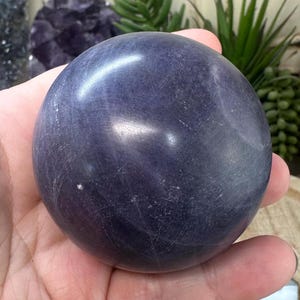 May include: A smooth, dark purple sphere, possibly a crystal or gemstone, is held in a hand. The sphere has a polished surface with subtle variations in color and texture. Green plants are visible in the background.