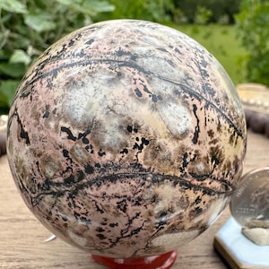 May include: A polished spherical stone featuring a complex pattern of soft pink, cream, and white hues, accented by intricate black dendritic inclusions that resemble branching ferns or tree-like formations across the smooth, rounded surface.