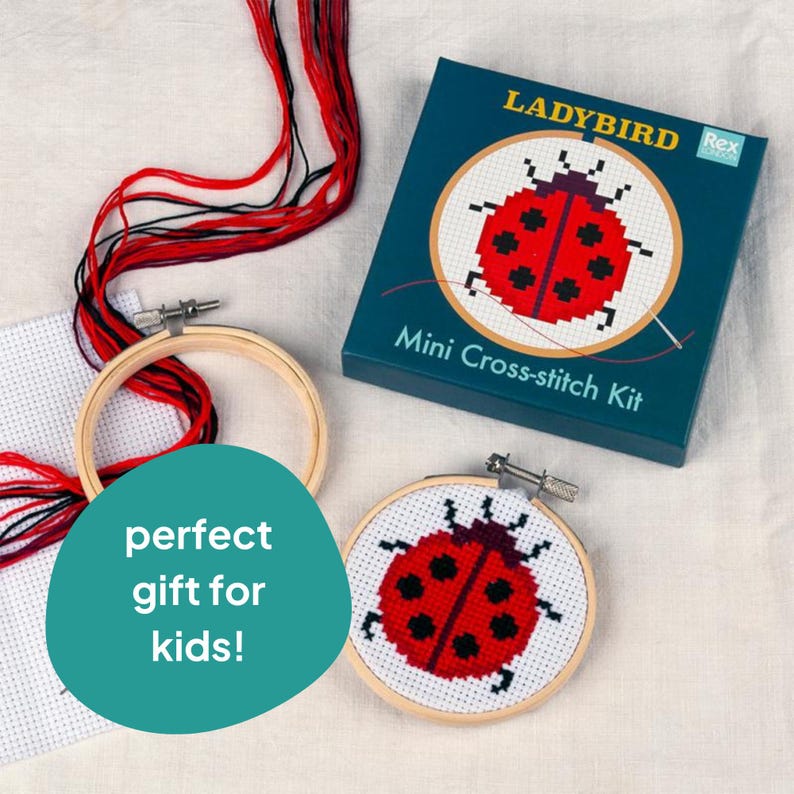 ladybird Cross Stitch Kit for children in a gift box