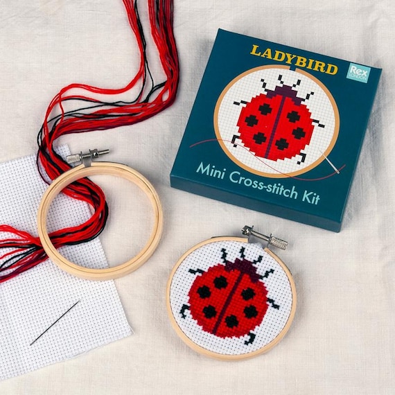 Ladybird Cross Stitch Kit: Beginner Craft Gift for Kids