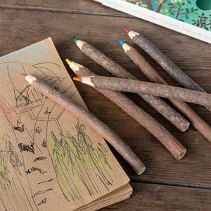 Twig Colouring Pencils - Natural Wood Art - Kids Eco-Friendly Gift - Crafts for Kids