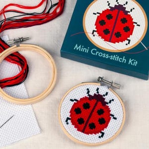 close up of a ladybird Cross Stitch Kit for children in a gift box