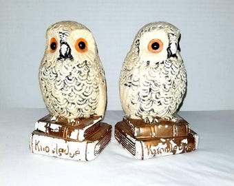 RESERVED for ccforever54** Do NOT Buy** Vintage OWL Bookends,Owl Bookends,Flocked Owl Bookends,Knowledge,Vintage Bookends,College Student