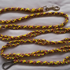 May include: A braided dog lead with a yellow, red and blue colour scheme. The lead has a silver clip on one end.