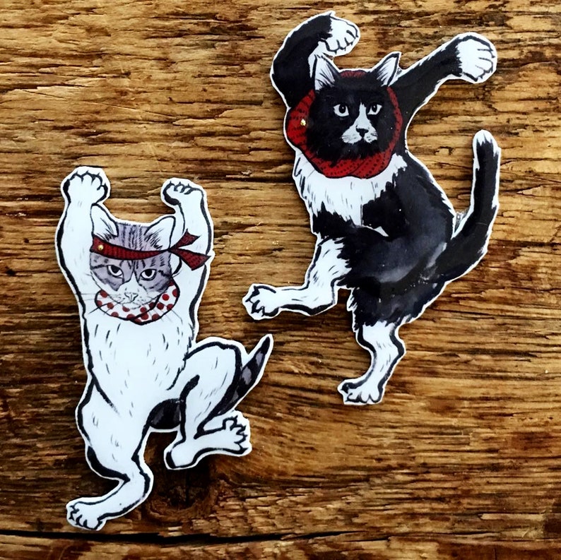 pin JIJI Zara Zara Cat Dancer Brooch