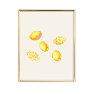Lemon Art Print | Lemon Slice | Summer Home Decor | Kitchen Wall Art | Contemporary art print