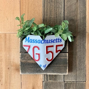 Wall Pocket Planter Made with a Genuine Folded License Plate | Metal & Wood Garden Decor | Any U.S. State