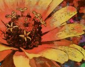 Colorful floral wall art, Zinnia Zowie Yellow  [8 inches square]