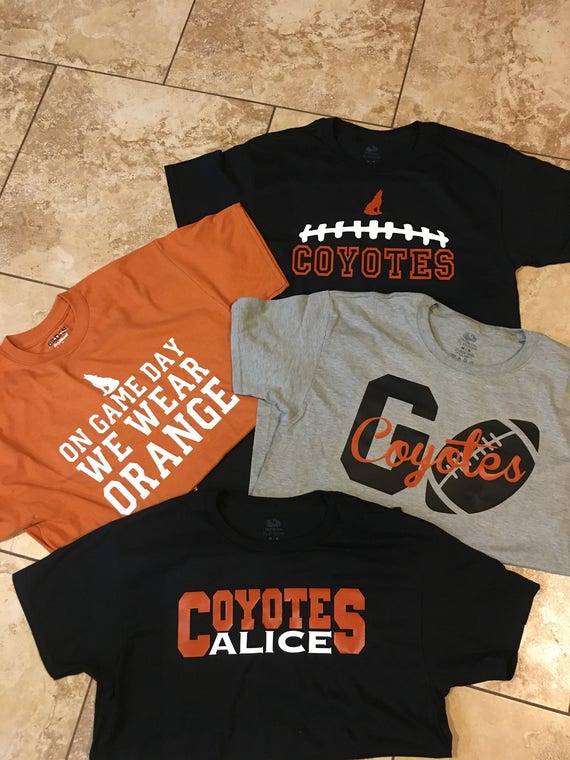 crossfit rigs for home