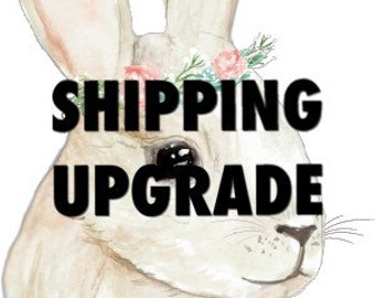 Shipping Upgrade