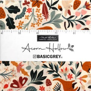 Charm Pack Acorn Hollow By BASICGREY for Moda - katoenen vierkantjes van 42 - 5 inch