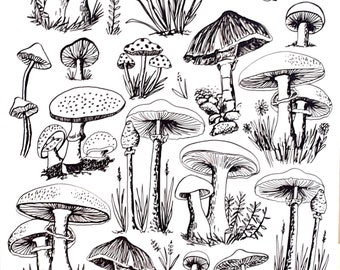 A4 Art print of mushroom drawings special