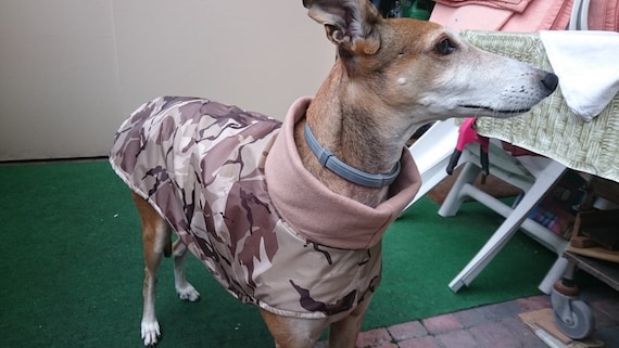 Manteau impermeable pour galgo | Nombreux Dans La Variété
Manteau impermeable pour galgo | Nombreux Nombreux Nombreux Dans La Variété
a06e58