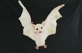 Felted albino bat, fruit bat, albino animal, Vampire bat, Gothic gift ideas, Needle felted animal, Felted wool bat, Halloween bat, product logo