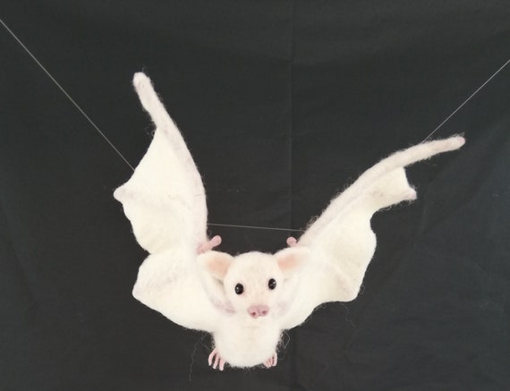 Batte Albinos Feutree Chauve Souris Aux Fruits Animal Etsy