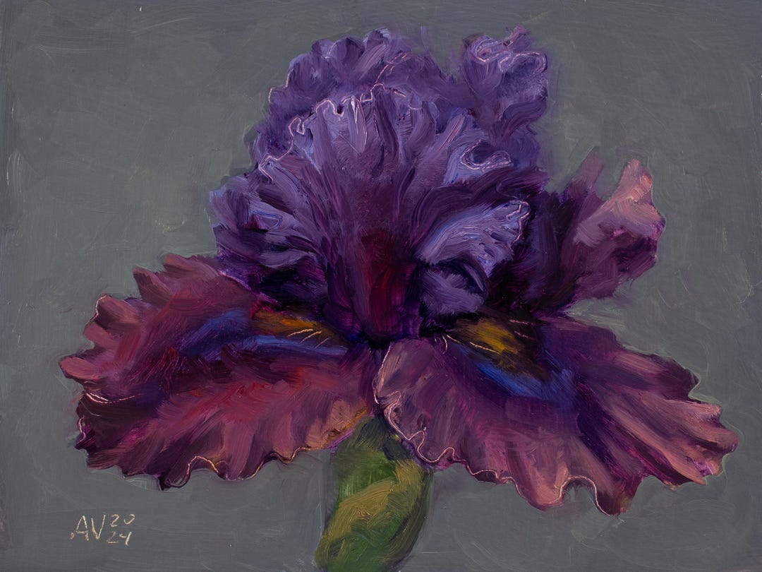 Original Oil Painting of a Purple Iris Flower Original Flower Still ...