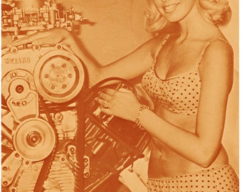 Vintage Reproduction Racing Poster November Dragmate sexy pinup poster