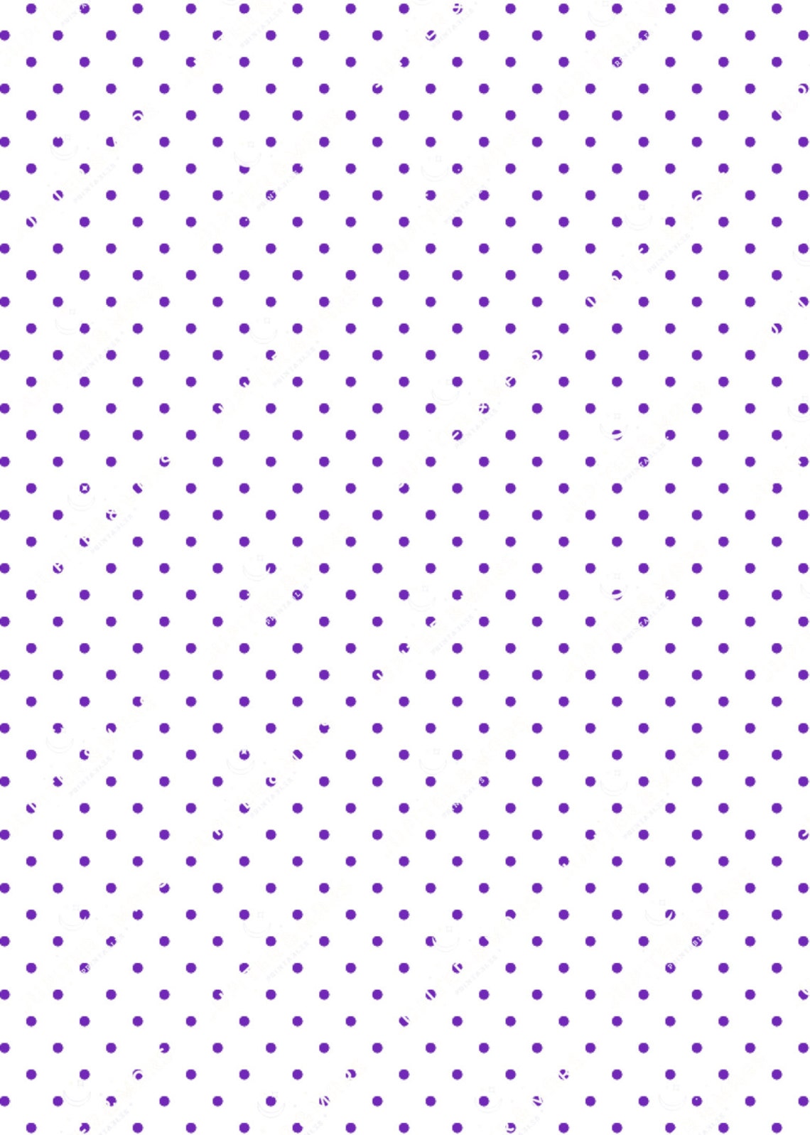 plae ty fuchsia purple