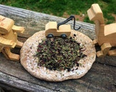 Herbal Punch for KIDS