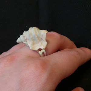 SALE Vintage Miniature Lace Murex Sea Shell Adjustable Silver Ring