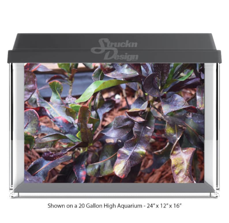 Croton Tank Deep Purple Green Tropical Croton Plant Leaf 10mil Polyester Aquarium ...