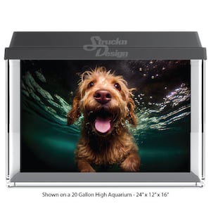 Cute Brown Shaggy Dog Swimming Underwater Teal 10mil Polyester Fish Tank Glass Backdrop Aquarium Background Waterproof Grey Opaque Backer