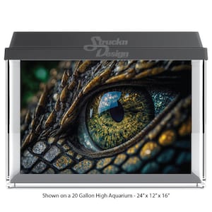May include: A close-up of a green, brown, and black reptile eye with a textured, scaly surface. The eye is looking directly at the viewer. The image is shown on a 20-gallon high aquarium, measuring 24 inches by 12 inches by 16 inches.